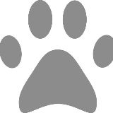 小宁带你环游地球村