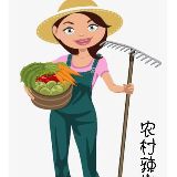 农村辣椒姐