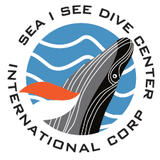 辽宁窥海潜水俱乐部