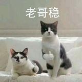 绝大叔的蛋