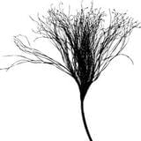 吃颗糖就不苦了