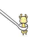 一只脸不圆的鹿