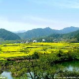 田园的美好生活