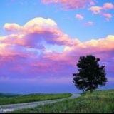 每天开心看娱乐