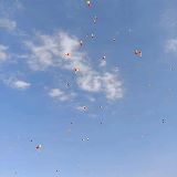 寝室大哥的校园生活