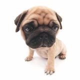 华山娱乐派出所