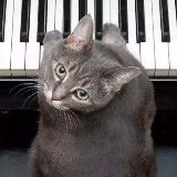 职场妈妈说育儿