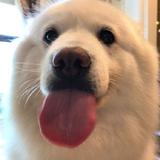 米修