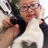 宠物训犬师阿君