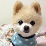 育婴好日记