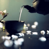 平凡视角下的娱乐圈