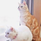 慧云爱笑