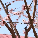艺柒卡儿
