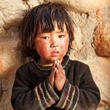 跟着大贺走川藏