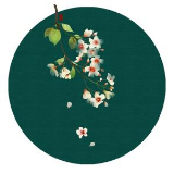 冰冻红尘