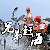 兄弟赶海
