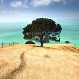 马叔带你看娱乐