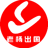 老杨出国