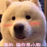 吃瓜群众爱娱乐