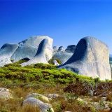 起看星斗正阑干