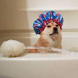 生活就是一把刀