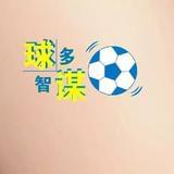 球智多谋