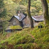 娱乐偶像圈趣闻