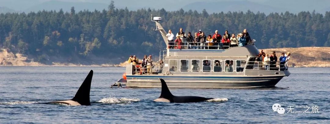 去斯里兰卡怎么玩,才不会让人失望?