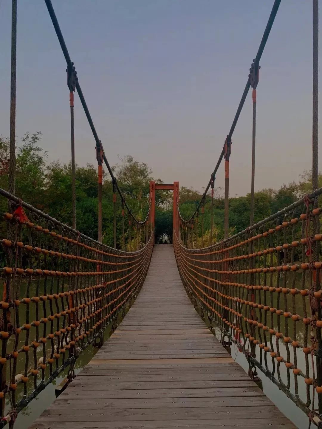 吴淞炮台湿地森林公园 超有feel的网红吊桥