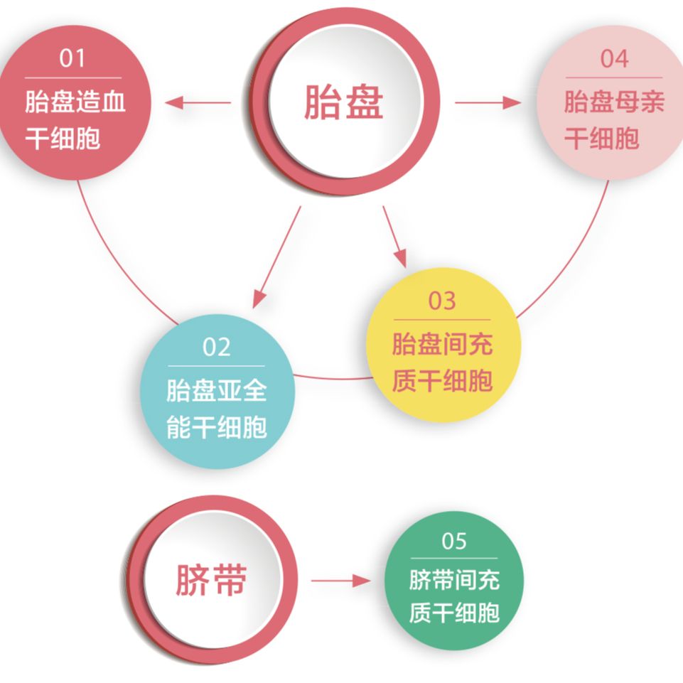 一眼看透 干细胞分哪些种类 其应用有何差别