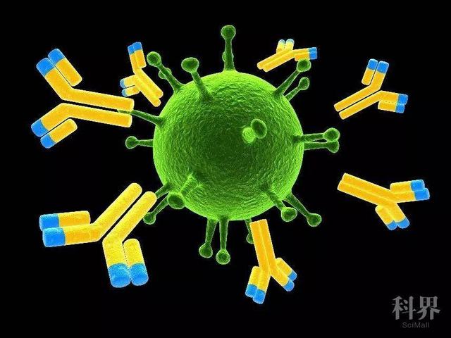 康復者血漿中含有可中和新冠病毒的特異性抗體 interactive-biology