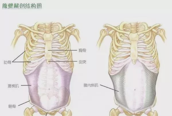 肚脐眼下面的肥肉,做什么运动可以减掉?