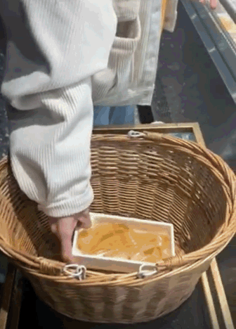 336_468竖版 竖屏gif 动态图 动图