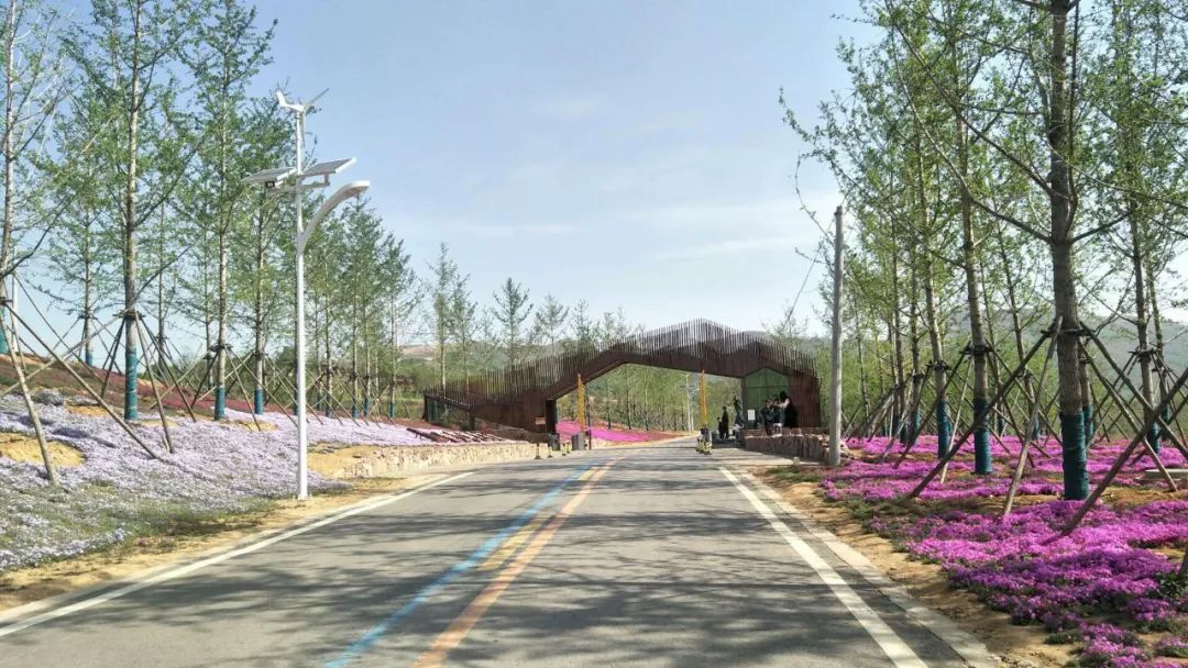 厉害了!伊川建业绿色基地田园综合体