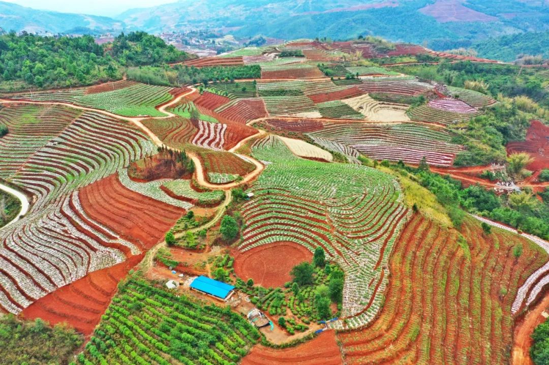 西盟坡耕地:夏之初的农耕之美,田园之美