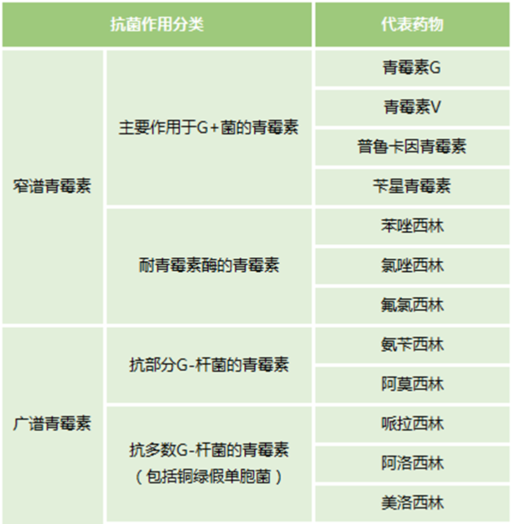 抗生素分类及代表药物图片