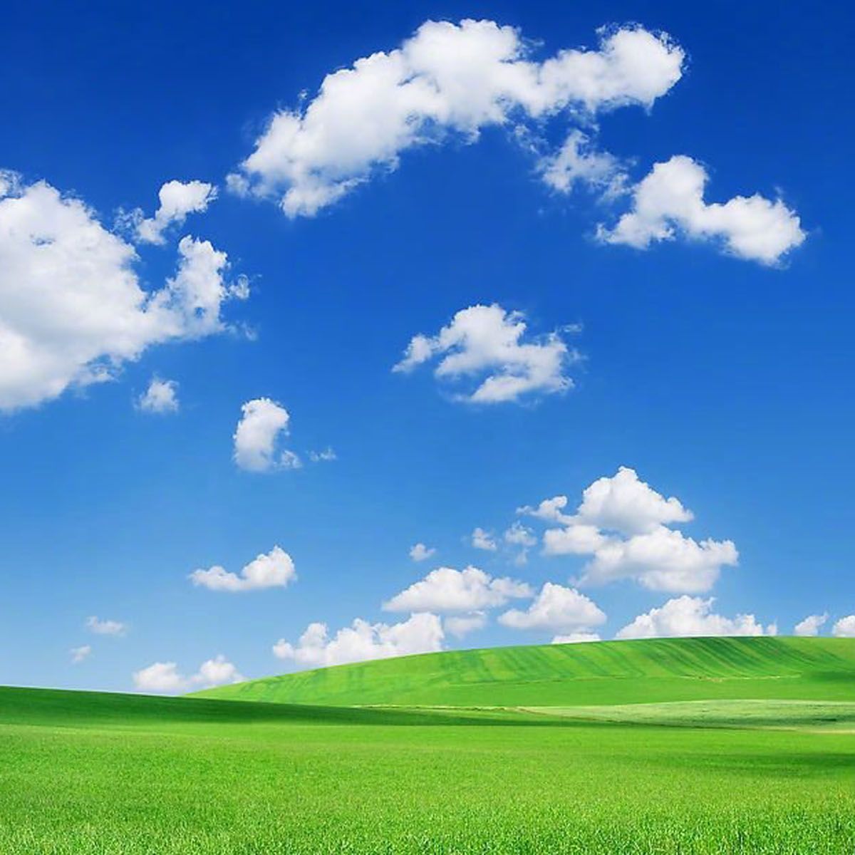 《平安经》横空出世,作者贺电低调回避采访,不为声名所累