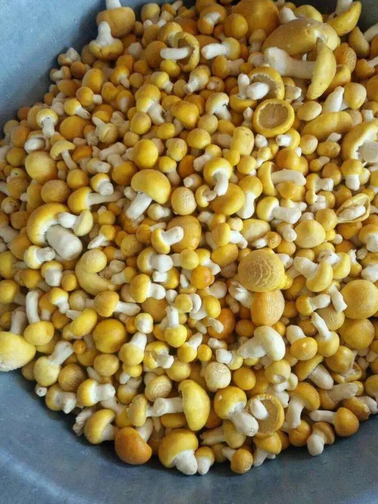 舌尖上的山南丨夏日限定美食 错过就是明年|青稞酒|酸奶|人参果_网易