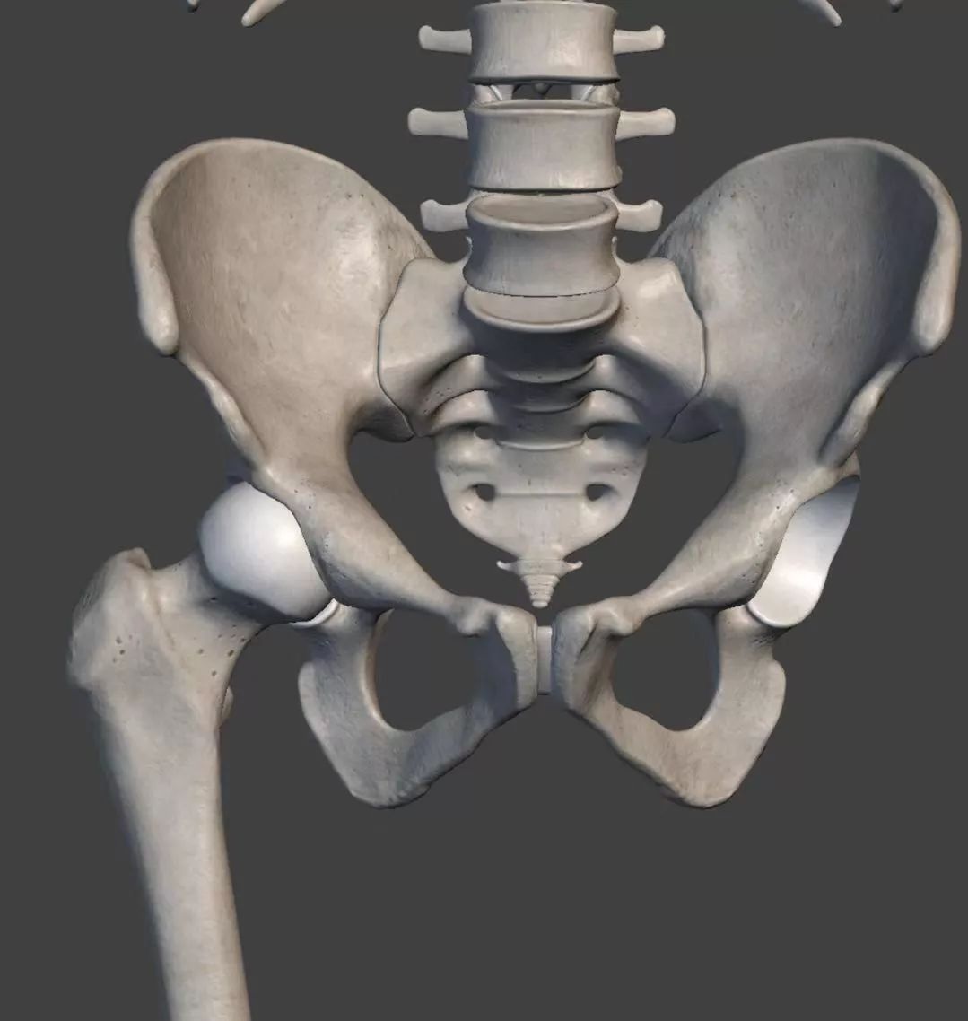 一套女性瑜伽序列灵活髋部滋养骨盆