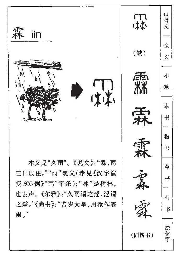 霖字的演变过程图片图片