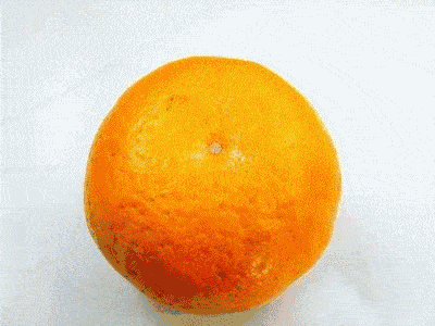 水果|汽水|芬达|气泡_网易订阅