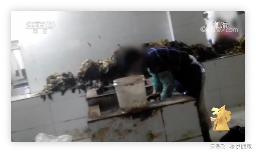 315 Exposure How is the famous brand of sauerkraut produced like this