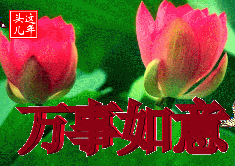 下午好动态表情图 最新版漂亮下午好问候动画表情鲜花图片 下午好问候