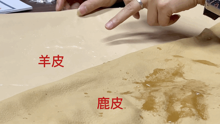 董洁西装阔腿裤好温柔开春5套穿搭全种草t恤半裙太优雅