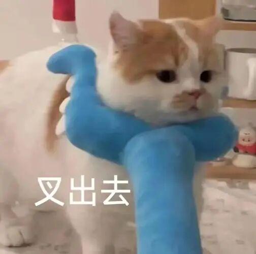 85花女郎劈腿影帝恋上顶流女歌手的瓜