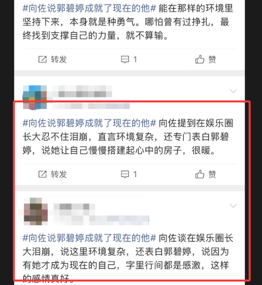 向佐:郭碧婷是非常伟大的老婆!