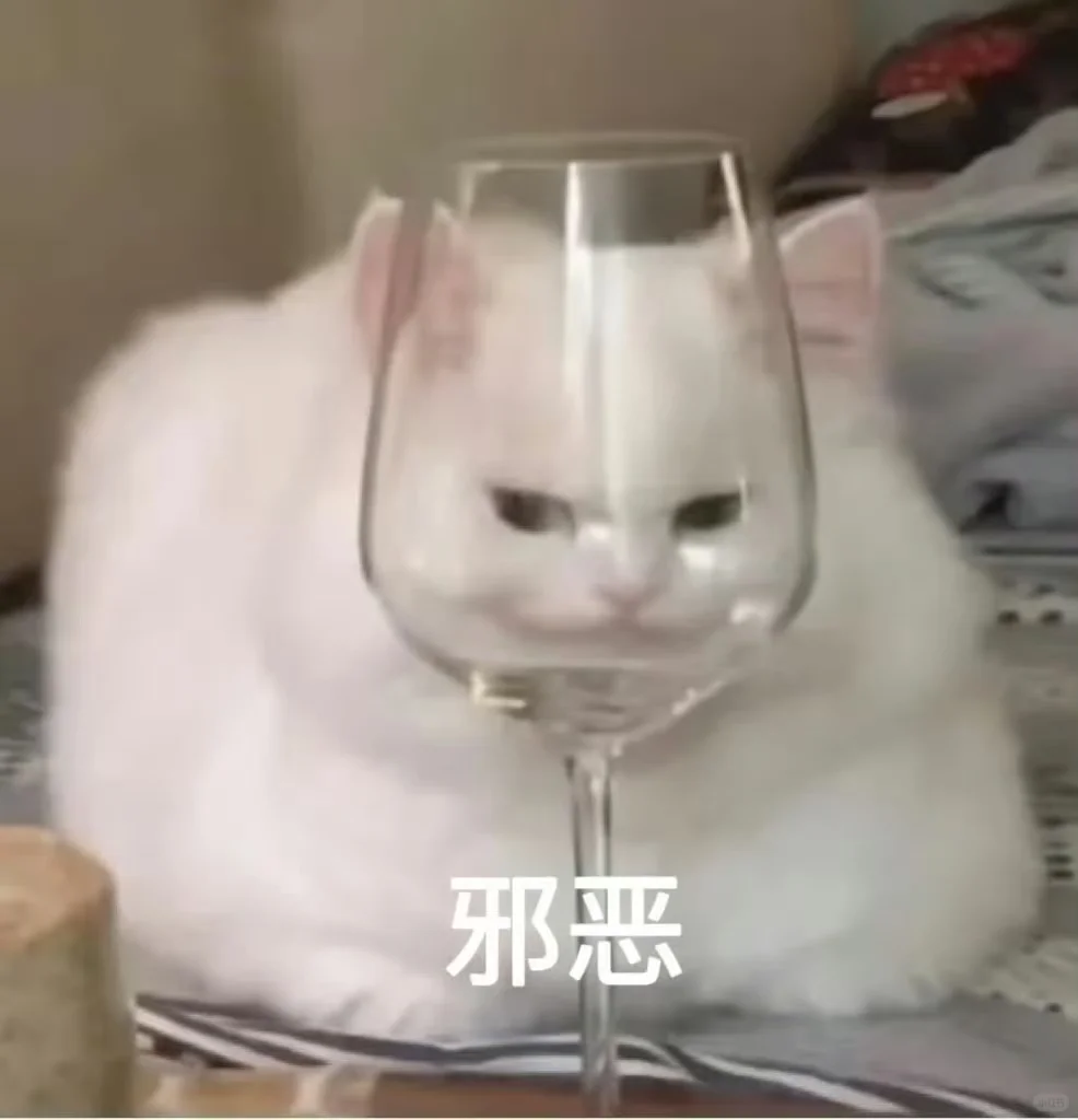 赵露思王鹤棣同台跳双人舞，这就是川渝组的实力？