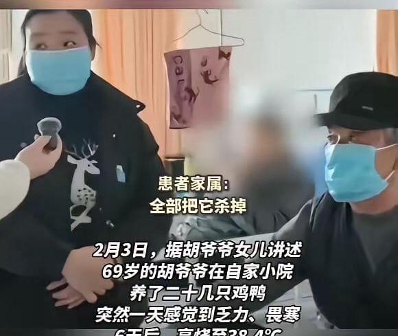 悲剧发生！湖南一老人突发“鹦鹉热”，吓得家人赶紧把鸡鸭都宰了