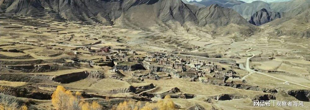 央剧《生命树》播出4天,43岁杨烁口碑实现逆转