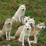 杨绛去世前散尽身外物